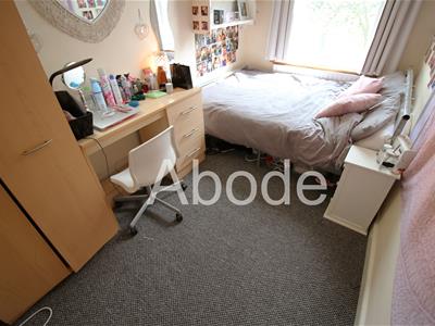 Picture 14